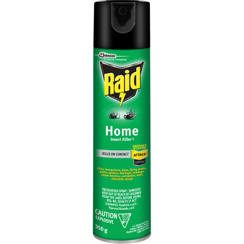 Insecticide pour insectes domestiques Raid, 350 g, &agrave; base de solvant Planification Entrepots Molloy