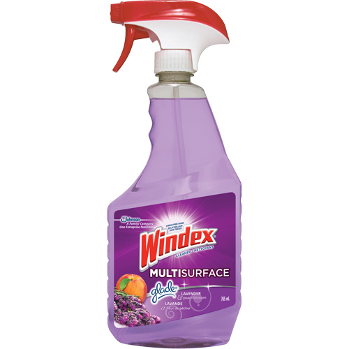 Windex&reg; Multi-Surface Cleaner, 765 ml, Trigger Bottle Planification Entrepots Molloy