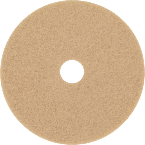 Trizact Diamond TZ Abrasive Strip, 20", Burnishing, Beige Planification Entrepots Molloy