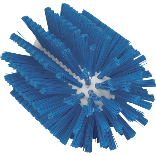 Grande brosse, Soies Moyen, Longueur de 6", Bleu Planification Entrepots Molloy