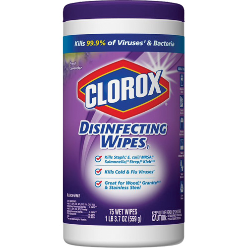 Disinfecting Wipes, 75 Count Planification Entrepots Molloy