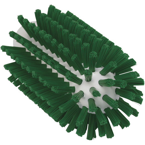 2.5" Brush, Stiff Bristles, 5-3/5" Long, Green Planification Entrepots Molloy