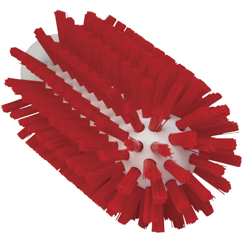 2.5" Brush, Stiff Bristles, 5-3/5" Long, Red Planification Entrepots Molloy