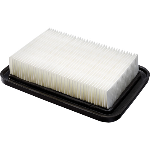 PTFE Membrane Main Filter, Foam, Fits 8 US gal. Planification Entrepots Molloy