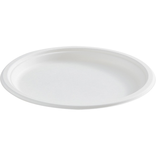 Round Fibre Compostable Plate Planification Entrepots Molloy