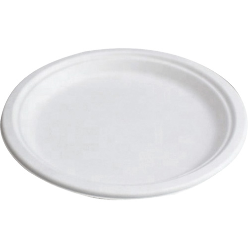 Compostable Plates Planification Entrepots Molloy