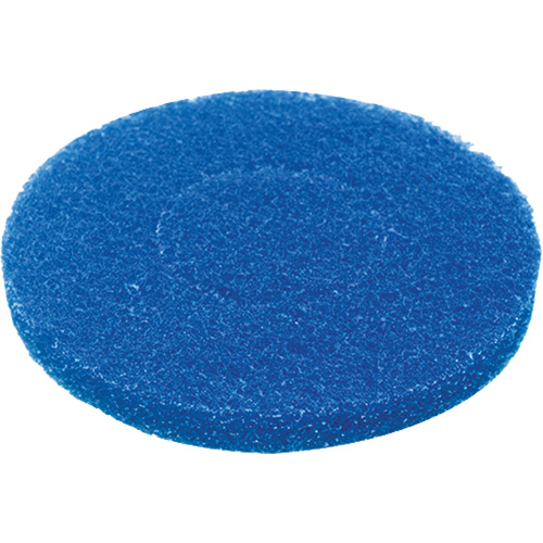 Floor Pad, Cleaning, Blue Planification Entrepots Molloy