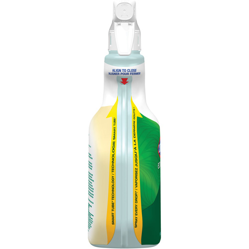 Nettoyant tout usage CloroxPro Clorox EcoClean, 946 ml, Bouteille &agrave; g&acirc;chette Planification Entrepots Molloy