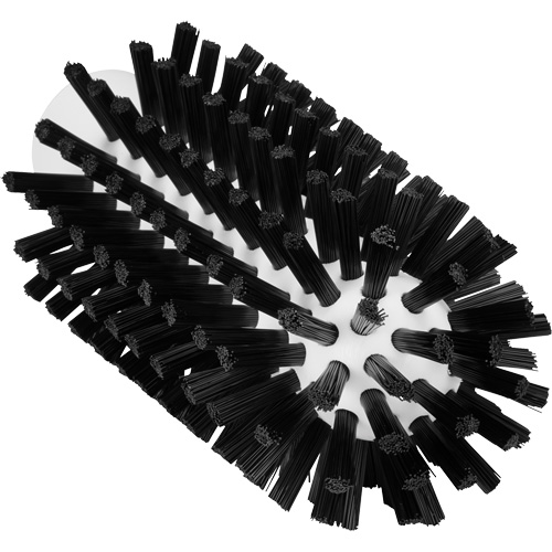 Brosse de nettoyage, Soies Ferme, Longueur de 5-7/10", Noir Planification Entrepots Molloy