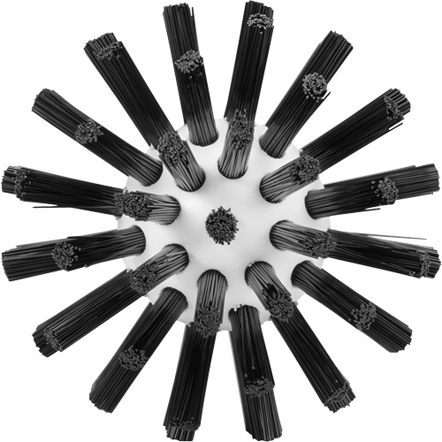 Brosse de nettoyage, Soies Ferme, Longueur de 5-7/10", Noir Planification Entrepots Molloy