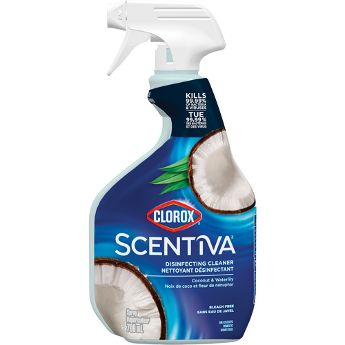 Vaporisateur nettoyant d&eacute;sinfectant multi-surfaces, 709 ml, Bouteille &agrave; g&acirc;chette Planification Entrepots Molloy