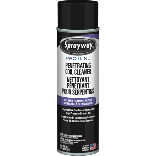 Nettoyant p&eacute;n&eacute;trant pour bobines Pro Line &agrave; action moussante diff&eacute;r&eacute;e, 19 oz., Canette a&eacute;rosol Planification Entrepots Molloy