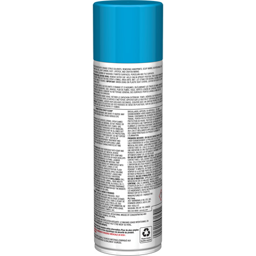 Pro Line Crazy Clean&reg; All Purpose Cleaner, 19 oz., Aerosol Can Planification Entrepots Molloy