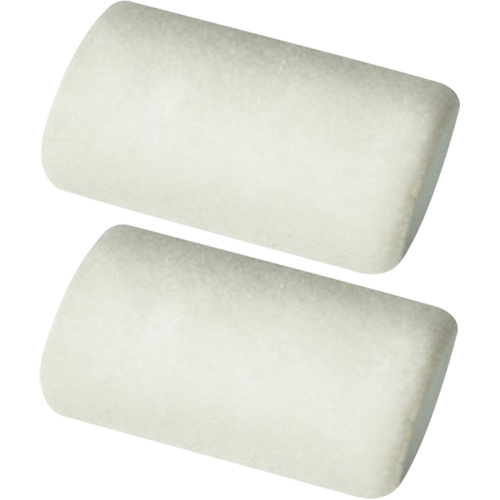 Professional Roller Sleeves, 6 mm (1/4") Nap, 101.6 mm (4") L Planification Entrepots Molloy