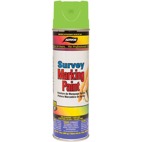 All-Purpose Marking Paint, 17 oz., Aerosol Can Planification Entrepots Molloy