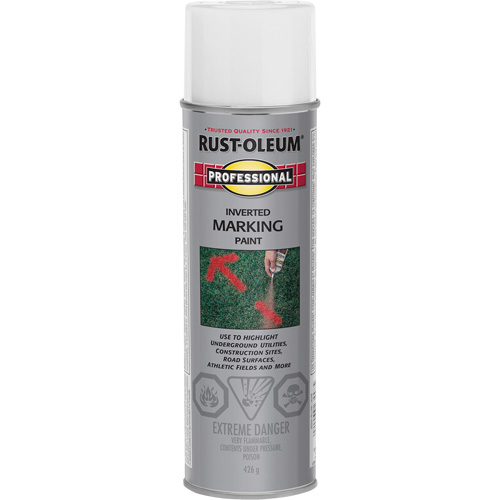 Inverted Marking Paint Spray, 426 g, Aerosol Can Planification Entrepots Molloy