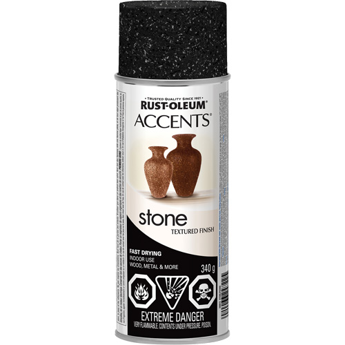 Accents&reg; Stone Creations Spray Paint, Aerosol Can, Black Granite Planification Entrepots Molloy