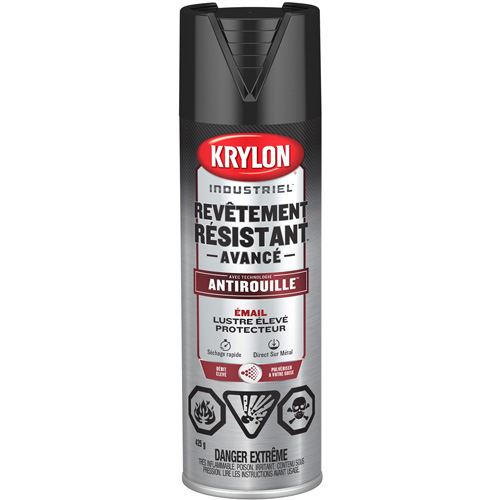 Tough Coat&reg; Advanced Paint with Rust Barrier Technology, Black, High-Gloss, 425 g, Aerosol Can Planification Entrepots Molloy