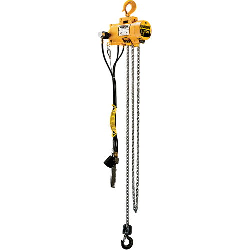Budgit&reg; Air Chain Hoists Planification Entrepots Molloy