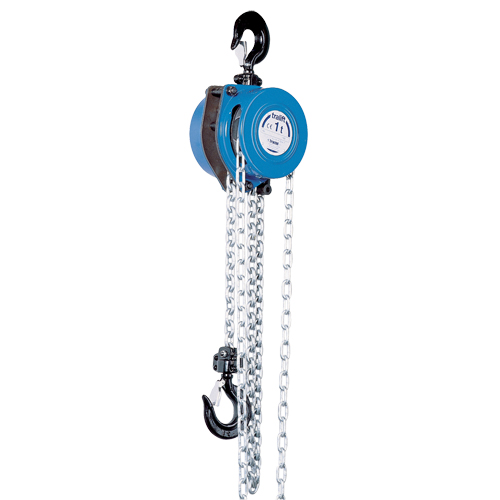 Tralift&reg; Chain Hoist, 10' Lift, 6000 lbs. (3 tons) Capacity, Grade 80 Chain Planification Entrepots Molloy