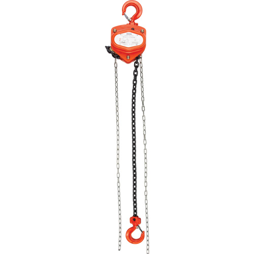 Chain Hoist, 20' Lift, 1000 lbs. (0.45 tons) Capacity, Alloy Steel Chain Planification Entrepots Molloy