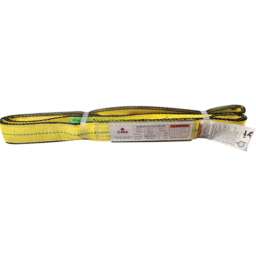 &eacute;lingue en sangle de polyester, Pli Double, Oeillets renvers&eacute;s, Type 4, 2" la x 8' lo, Capacit&eacute; verticale 6400 lb Planification Entrepots Molloy