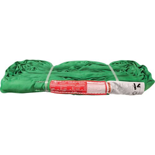 Polyester Round Sling, Green, 12' L, 6000 lbs. Vertical Load Planification Entrepots Molloy