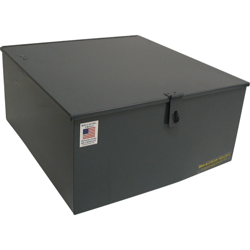 Mover Tricycles Planification Entrepots Molloy