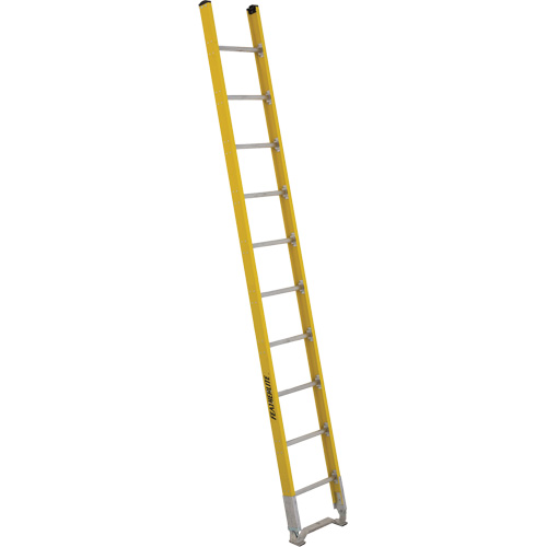 &eacute;chelle simple &agrave; une section - S&eacute;rie 6100, 10', Fibre de verre, 375 lb, CSA calibre 1AA Planification Entrepots Molloy