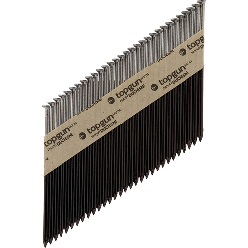 Collated Nails Planification Entrepots Molloy