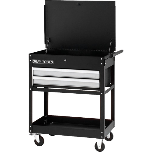 Utility Cart, 2 Drawers, 30-1/4" L x 19" W x 35-3/4" H, Black Planification Entrepots Molloy