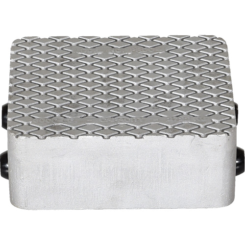 Cast Aluminum Propel Dolly Planification Entrepots Molloy