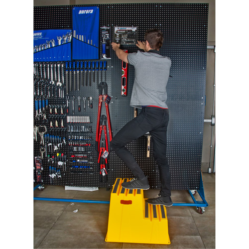Escabeau industriel, 2 marches, 26" x 22-7/16" x Hauteur 19-11/16" Planification Entrepots Molloy