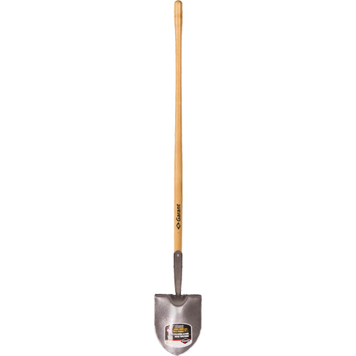 Round Point Shovel, Forged Steel Blade, Hardwood, Straight Handle Planification Entrepots Molloy