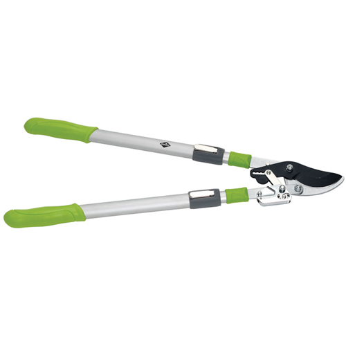 Lopping Shears - By-Pass Ratchet Style Planification Entrepots Molloy