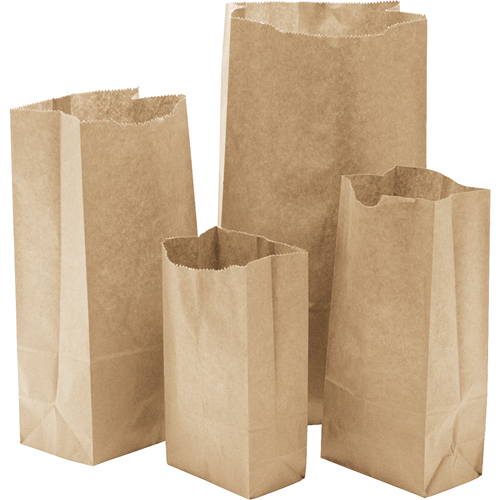 Paper Bags, Paper, 4-13/16" W x 8-1/2" L Planification Entrepots Molloy