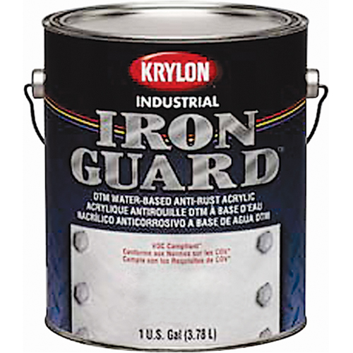Industrial Iron Guard&reg; Water-Based Enamel, Can, Grey Planification Entrepots Molloy