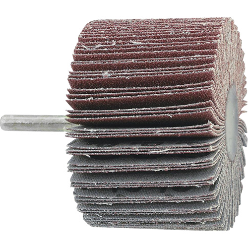 Disque &agrave; lamelles mont&eacute; sur mandrin, Grain 60, 1-1/2" x 1/2" x 1/4" Planification Entrepots Molloy