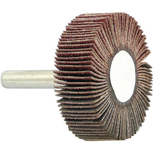 Disque &agrave; lamelles mont&eacute; sur mandrin, Grain 80, 1-1/2" x 1/2" x 1/4" Planification Entrepots Molloy