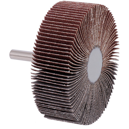 Roue &agrave; lamelles mont&eacute;e sur tige, Grain 60, 3" x 1" x 1/4" Planification Entrepots Molloy