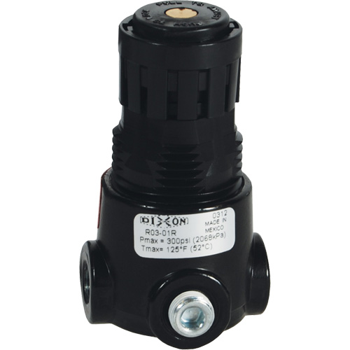 R&eacute;gulateur miniature R03 Wilkerson, 1/8" NPT, PSI max. de 300 psi, Standard Planification Entrepots Molloy