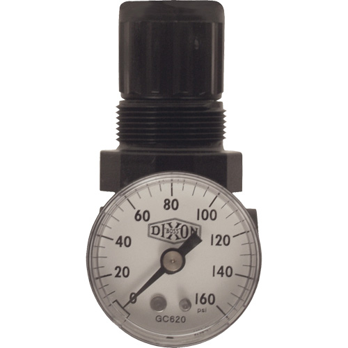 R&eacute;gulateur miniature de s&eacute;rie 1, 1/8" NPT, PSI max. de 100 psi, Standard Planification Entrepots Molloy