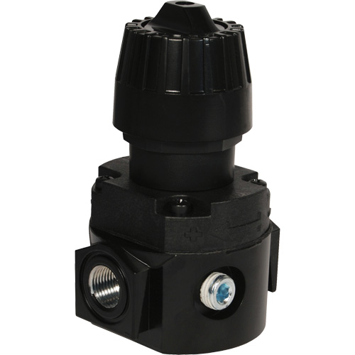 Wilkerson Compact Regulator R16, 1/4" NPT, 300 psi Max. PSI, Standard Planification Entrepots Molloy
