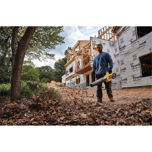 Ventilateur axial &agrave; main sans fil sans balai Max* FlexVolt, 60 V, Vitesse d'air 125 mi/h, &agrave; pile Planification Entrepots Molloy