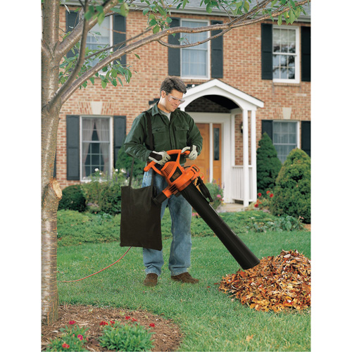 Souffleur/aspirateur/broyeur de feuilles, Vitesse d'air 210 mi/h, &eacute;lectrique Planification Entrepots Molloy