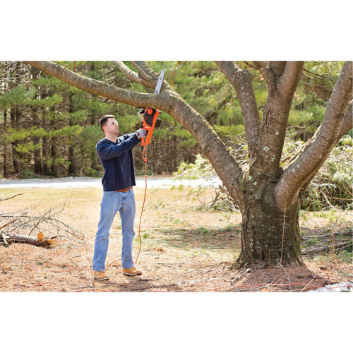 Chainsaw, 18", Electric Planification Entrepots Molloy
