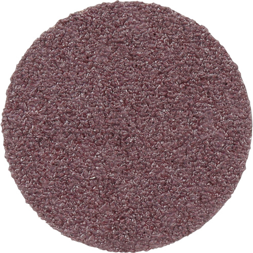 Meule en toile PSA 348D, 20" dia., Grain 60, Oxyde d'aluminium Planification Entrepots Molloy