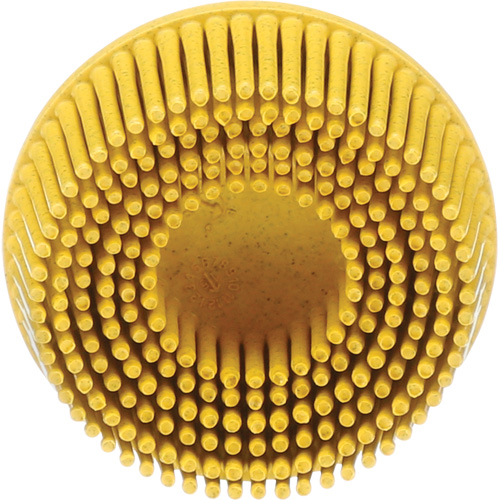 Scotch-Brite Roloc Bristle Disc, Ceramic, Medium Grit, 2" Dia. Planification Entrepots Molloy