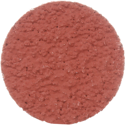 Disque &agrave; d&eacute;ligner durable II Roloc Cubitron, 2" dia., Grain 36+, C&eacute;ramique Planification Entrepots Molloy