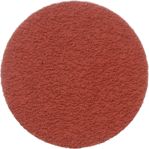 Disque &agrave; d&eacute;ligner durable II Roloc Cubitron, 2" dia., Grain 60+, C&eacute;ramique Planification Entrepots Molloy